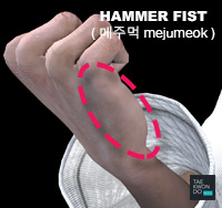 Hammer Fist ( 메주먹 mejumeok )