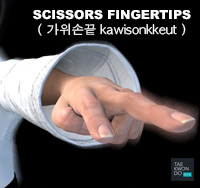 Scissors Fingertips ( 가위손끝 kawisonkkeut )