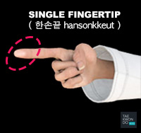 Single Fingertip ( 한손끝 hansonkkeut )