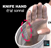 Knife Hand ( 손날 sonnal )