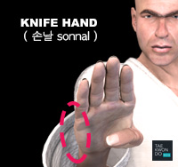 Knife Hand ( 손날 sonnal )