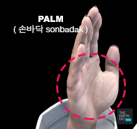 Palm ( 손바닥 sonbadak )
