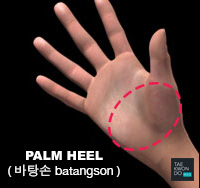 Palm Heel ( 바탕손 batangson )