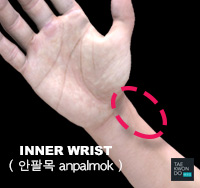 Inner Wrist ( 안팔목 anpalmok )