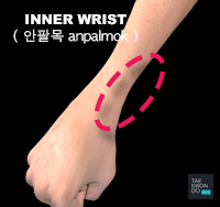 Inner Wrist ( 안팔목 anpalmok )