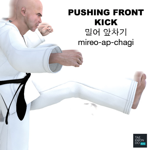 Pushing Front Kick ( 밀어 앞차기 mireo-ap-chagi )