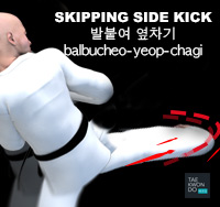 Skipping Side Kick ( 발붙여 옆차기 balbucheo-yeop-chagi )