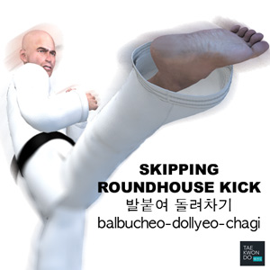 Skipping Roundhouse Kick ( 발붙여 돌려차기 balbucheo-dollyeo-chagi )