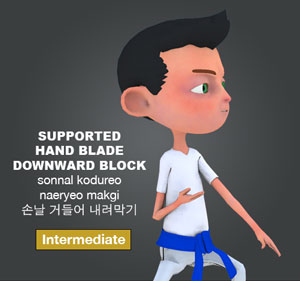 Supported Hand Blade Downward Block ( 손날 거들어 내려막기 sonnal-kodureo-naeryeo-makgi )