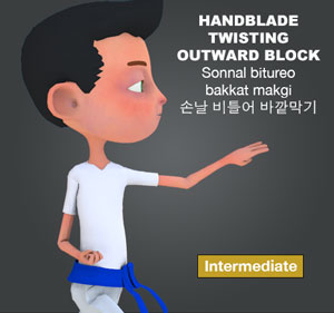 Hand Blade Twisting Block ( 손날 비틀어 바깥막기 Sonnal bitureo bakkat makgi )