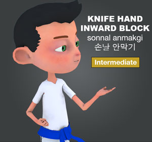 Inward Knife Hand Block ( 손날 안막기 sonnal-an-makgi )