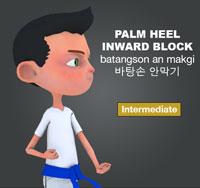 Palm Heel Pressing Block (batangson nulleo makgi)