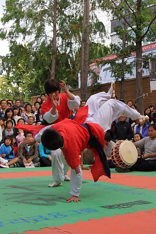 Taekkyeon Nal-Chi-Gi