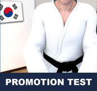 Taekwondo Promotion Tests