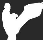 Taekwondo Kicks ( 차기 chagi )