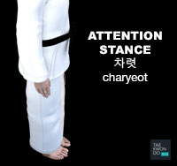 Attention Stance ( 차렷 charyeot )