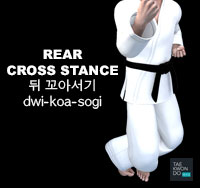 Rear Cross Stance ( 뒤 꼬아서기 dwi-koa-sogi )