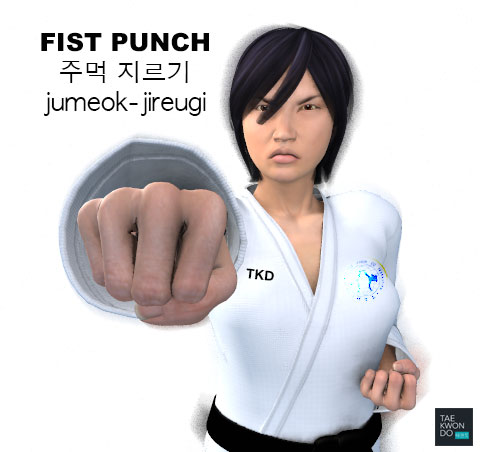 Fist Punch ( 주먹 지르기 jumeok-jireugi )