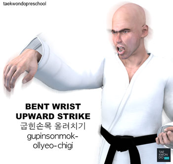 Bent Wrist Upward Strike ( 굽힌손목 올려치기 gupinsonmok-ollyeo-chigi )