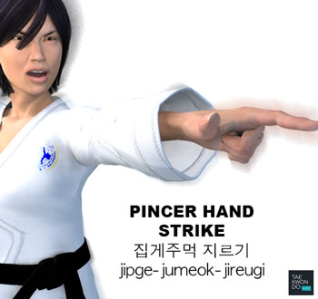 Pincer Hand Strike ( 집게주먹 지르기 jipge-jumeok-jireugi )