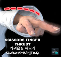 Scissors Fingertip Thrust ( 가위손끝 찌르기 gawisonkkeut-jjireugi )