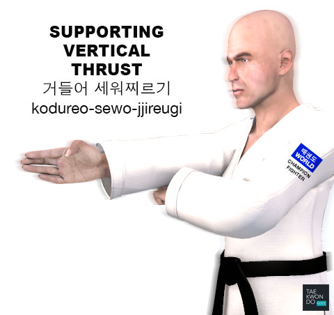 Supporting Vertical Thrust ( 거들어 세워찌르기 kodureo-sewo-jjireugi )