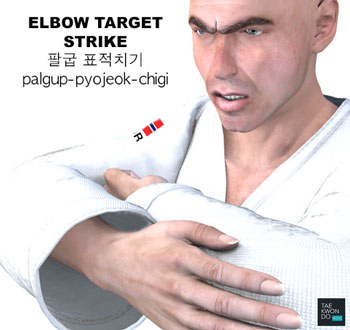 Elbow Target Strike ( 팔굽 표적치기 palgup-pyojeok-chigi )