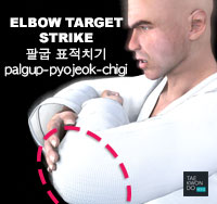 Elbow Target Strike ( 팔굽 표적치기 palgup-pyojeok-chigi )