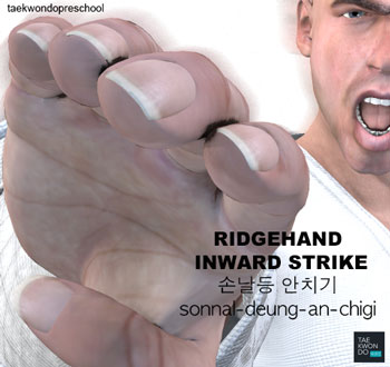 Ridge Hand Inward Strike ( 손날등 안치기 sonnal-deung-an-chigi )