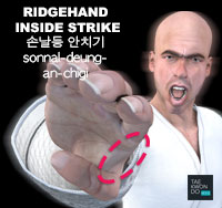 Ridgehand Inward Strike ( 손날등 안치기 sonnal-deung-an-chigi )