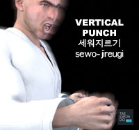 Vertical Punch ( 세워지르기 sewo-jireugi )