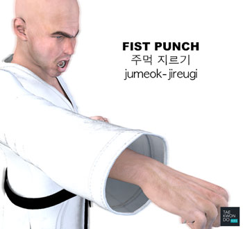 Fist Punch ( 주먹 지르기 jumeok-jireugi )