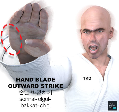 Hand Blade Outward Strike ( 손날 바깥치기 sonnal-olgul-bakkat-chigi )