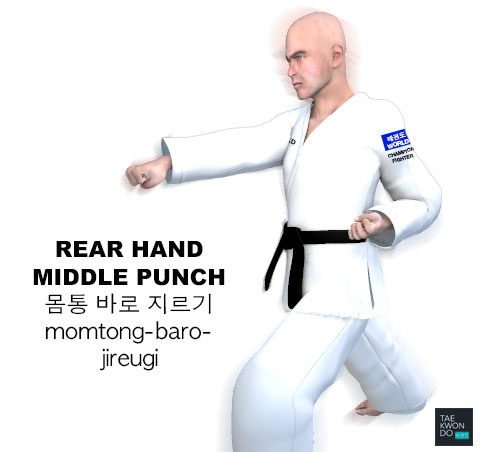 Rear Hand Middle Punch ( 몸통 바로 지르기 momtong-baro-jireugi )