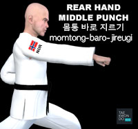 Rear Hand Middle Punch ( 몸통 바로 지르기 momtong-baro-jireugi )