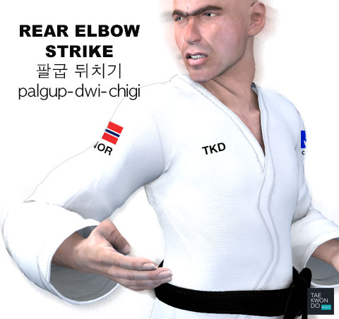 Elbow Rear Strike ( 팔굽 뒤치기 palgup-dwi-chigi )