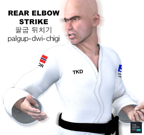 Elbow Rear Strike ( 팔굽 뒤치기 palgup-dwi-chigi )