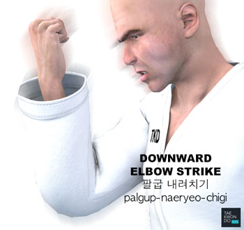 Elbow Downward Strike ( 팔굽 내려치기 palgup-naeryeo-chigi )