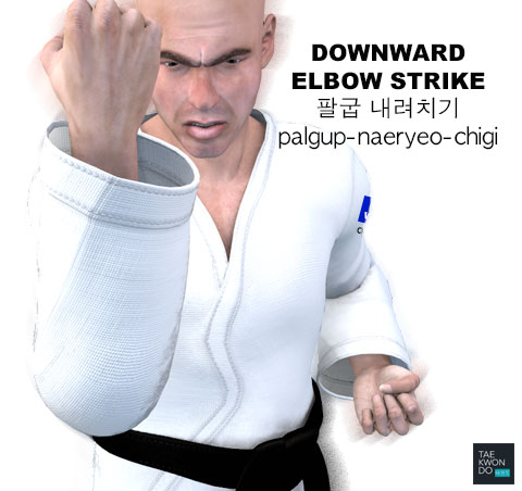 Elbow Downward Strike ( 팔굽 내려치기 palgup-naeryeo-chigi )