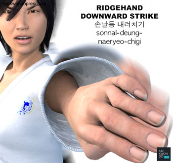 Ridgehand Downward Strike ( 손날등 내려치기 sonnal-deung-naeryeo-chigi )