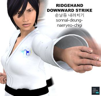 Ridgehand Downward Strike ( 손날등 내려치기 sonnal-deung-naeryeo-chigi )