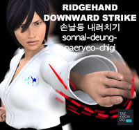 Ridgehand Downward Strike ( 손날등 내려치기 sonnal-deung-naeryeo-chigi )