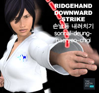 Ridgehand Downward Strike ( 손날등 내려치기 sonnal-deung-naeryeo-chigi )