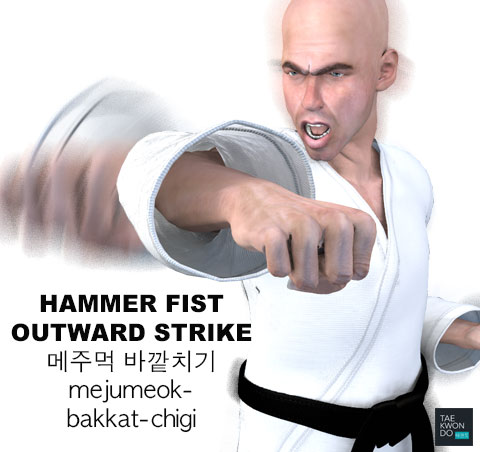 Hammer Hand Outward Strike ( 메주먹 바깥치기 mejumeok-bakkat-chigi )