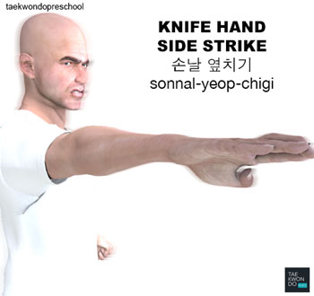 Hand Blade Side Strike ( 손날 옆치기 sonnal-yeop-chigi )