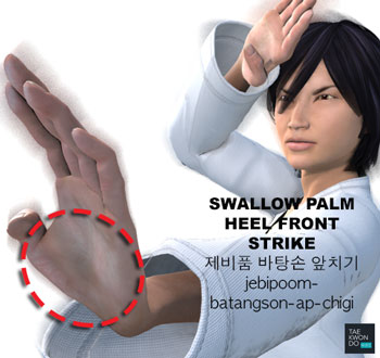 Swallow Palm Heel Front Strike ( 제비품 (바탕손) 앞치기 jebipoom-batangson-ap-chigi )
