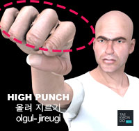 High Punch ( 올려 지르기 olgul-jireugi )
