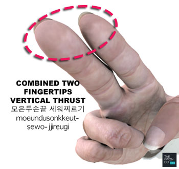 Combined Two Fingertips Vertical Thrust ( 모은두손끝 세워찌르기 moeundusonkkeut-sewo-jjireugi )