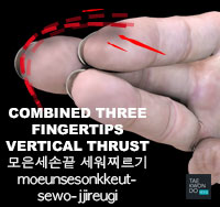 Combined Three Fingertips Vertical Thrust ( 모은세손끝 세워찌르기 moeunsesonkkeut-sewo-jjireugi )