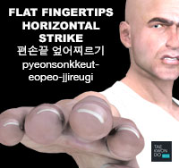 Flat Fingertips Horizontal Strike ( 편손끝 엎어찌르기 pyeonsonkkeut-eopeo-jjireugi )